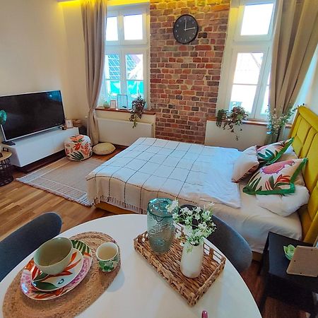 Apartamenty Piekary 11 Przy Wisle By Rentoom Torun Bagian luar foto