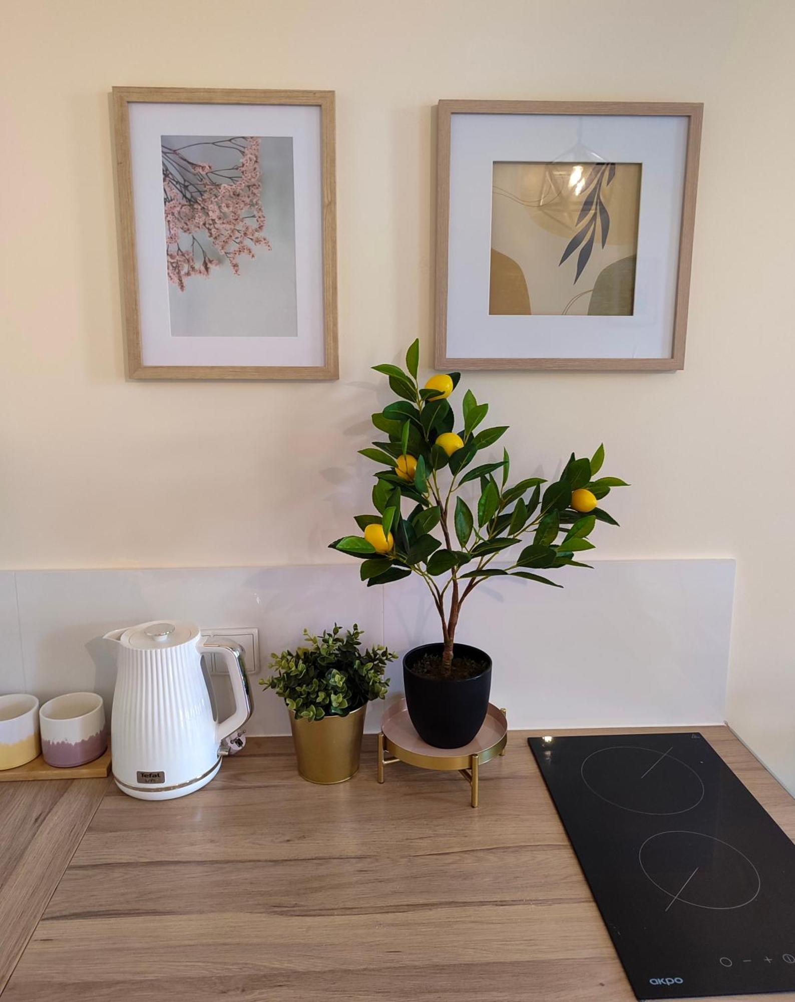 Apartamenty Piekary 11 Przy Wisle By Rentoom Torun Bagian luar foto